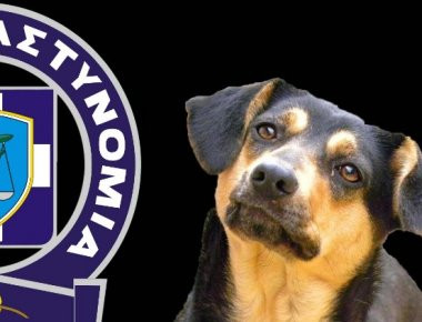 ΕΛ.ΑΣ: Tι να κάνετε αν αντιληφθείτε ότι ένα ζώο κακοποιείται